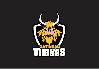 Vikings Manager